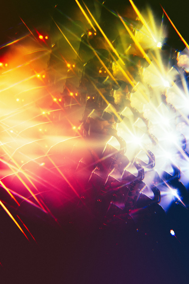 Photos of Bare Jams performing live. Bare Jams live show. Bare Jams gig.